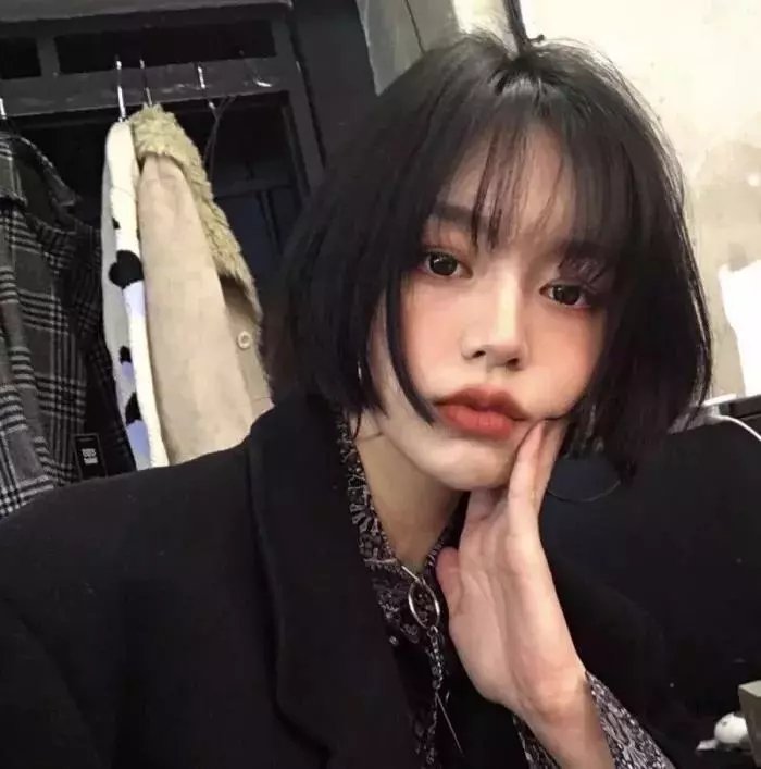尼姆的实验封面