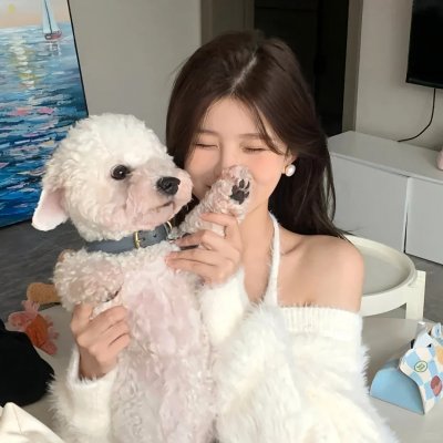 风流皇后封面